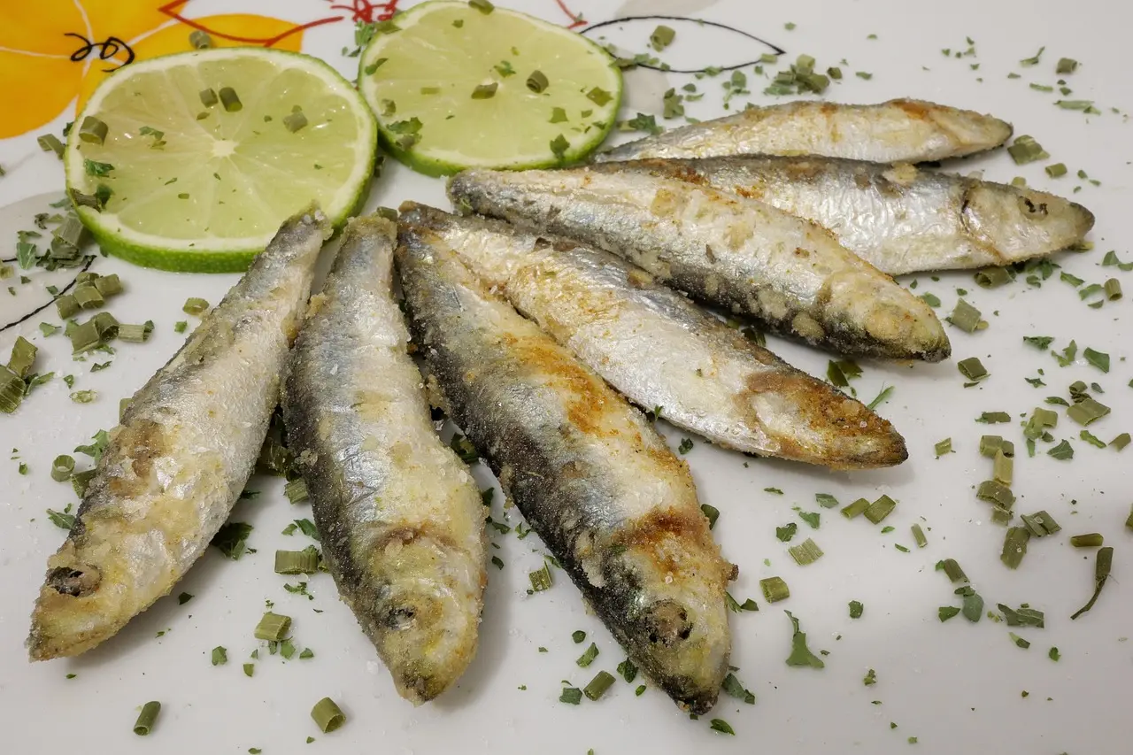 Gegrillte Sardinen