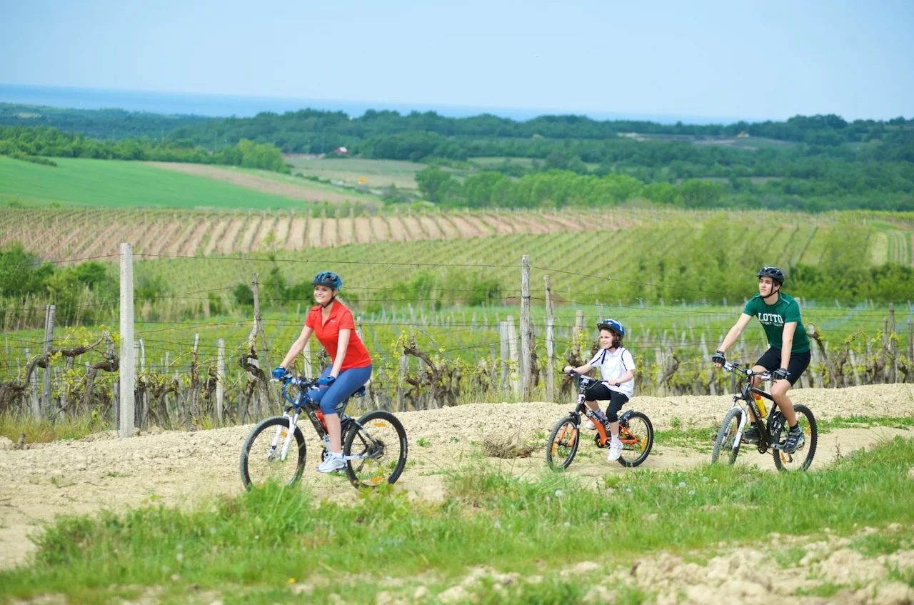 Radfahren in Istrien