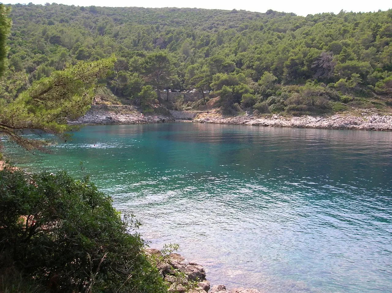 Zatoka Mali Losinj