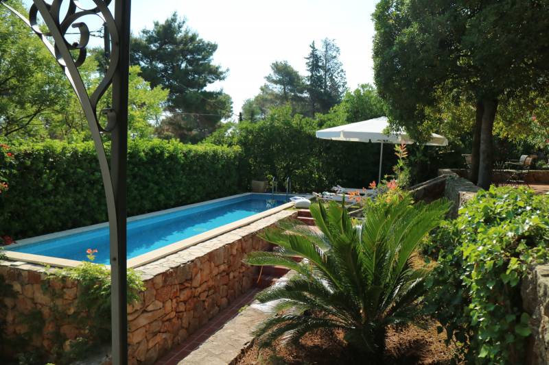 Beautiful garden area and swimming pool of Villa Pharos on Hvar Island