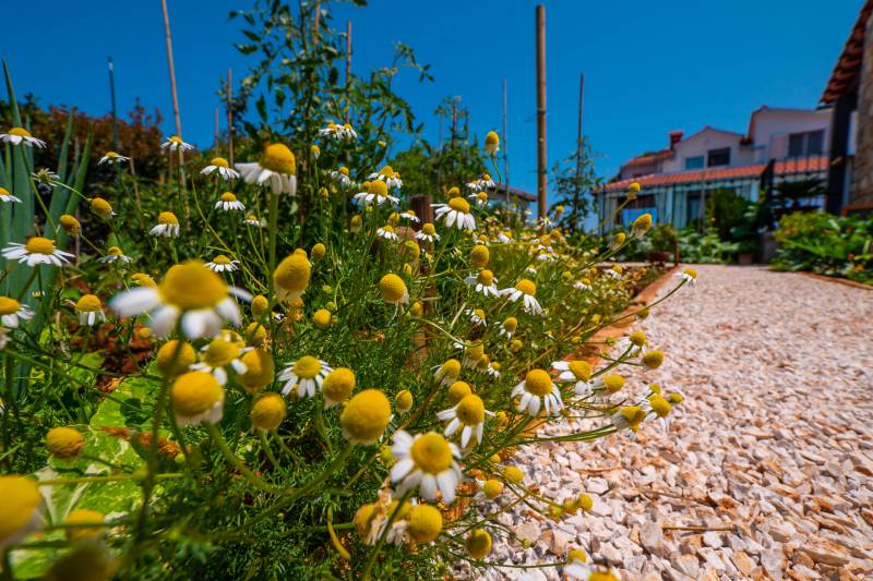 Kuća za Odmor Gardenia s Bazenom Šolta
