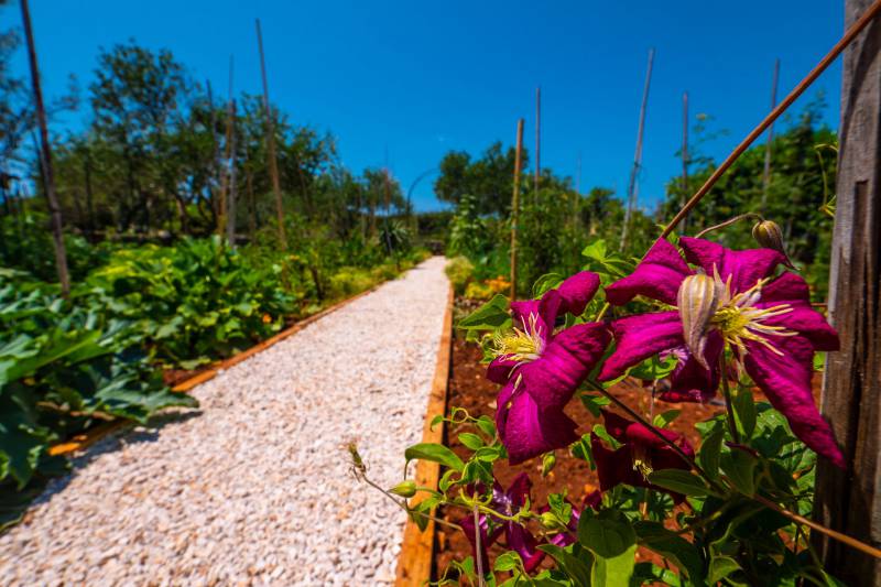 Kuća za Odmor Gardenia s Bazenom Šolta