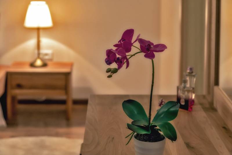 Luxury Villa Neverending Story with Swimming Pool Omiš