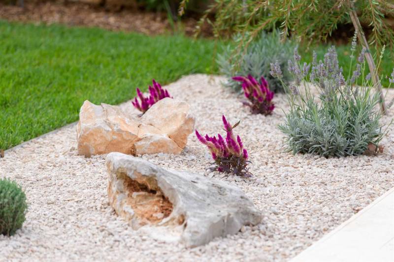 Villa Figaro with Pool Umag
