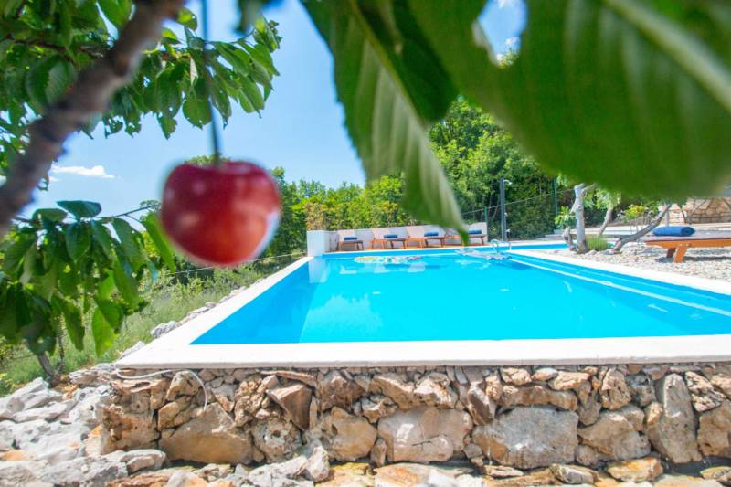 Willa Evergreen z Basenem Crikvenica