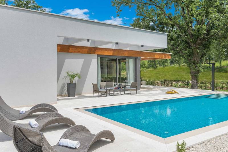 Villa Astera with Heated Pool Pazin