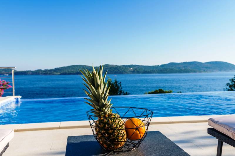 Villa Happy Daze with Infinity Pool Dubrovnik