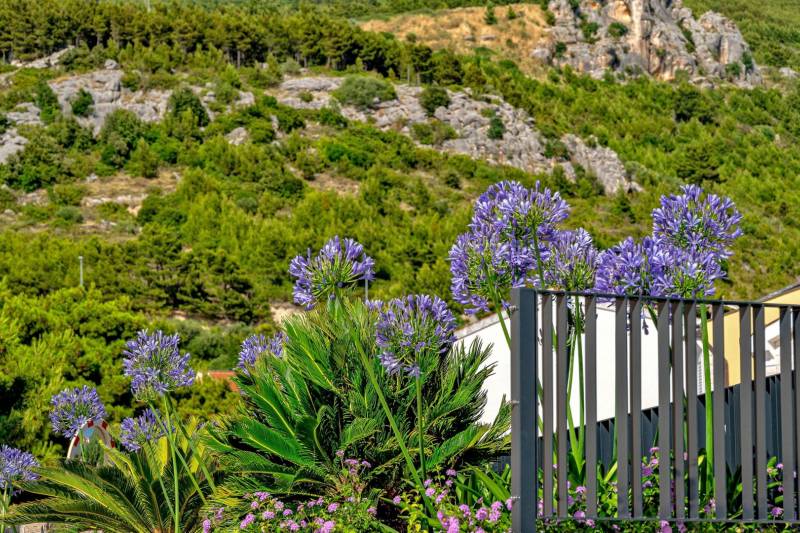 Villa Sea Crystal mit Pool Makarska
