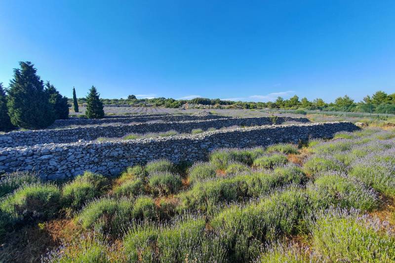 Country House Lavender with Pool Hvar