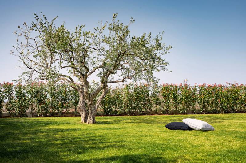 Villa Palazzo di Dolce Vita with Pool Novigrad Istria