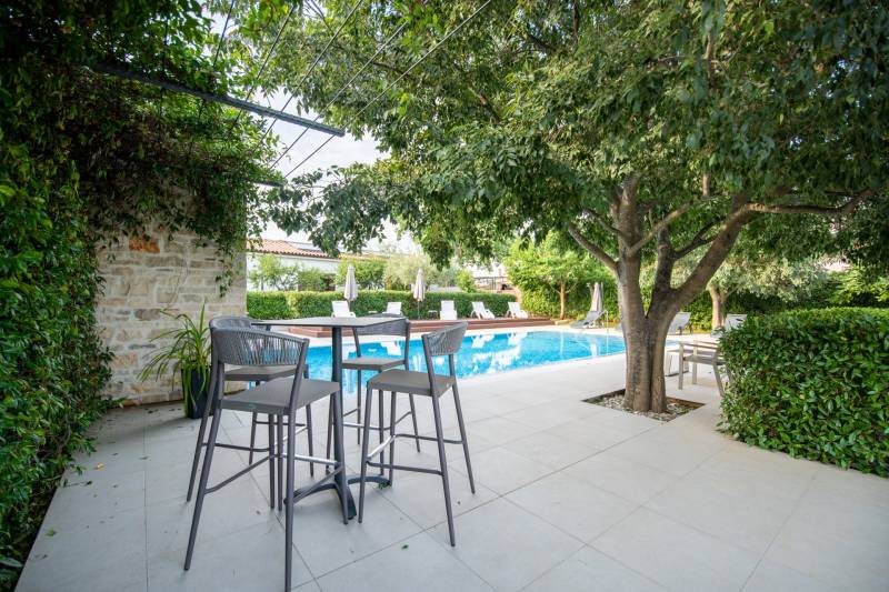 Willa Elise z Basenem Novigrad Istria