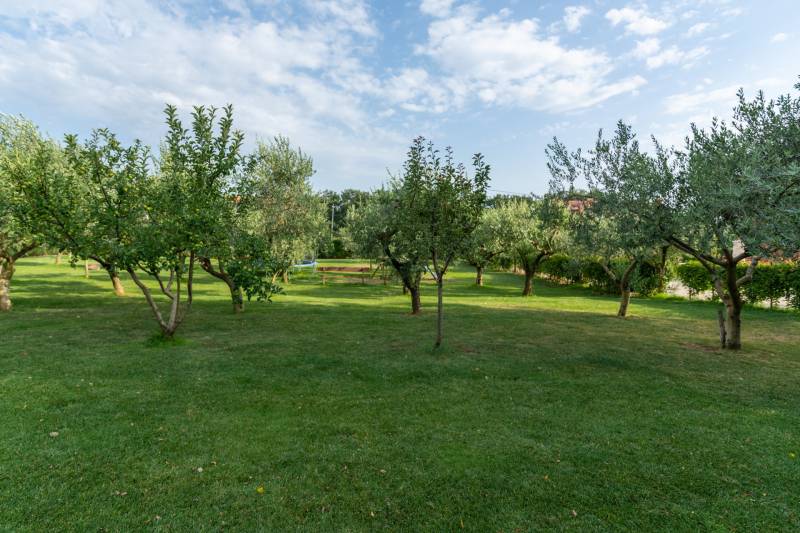 Willa Elise z Basenem Novigrad Istria