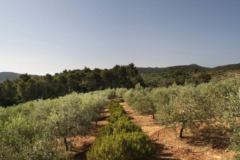 Luksuzna Vila Nai s Bazenom Dugi Otok