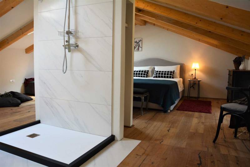 Vila Ambience s Bazenom Rovinj