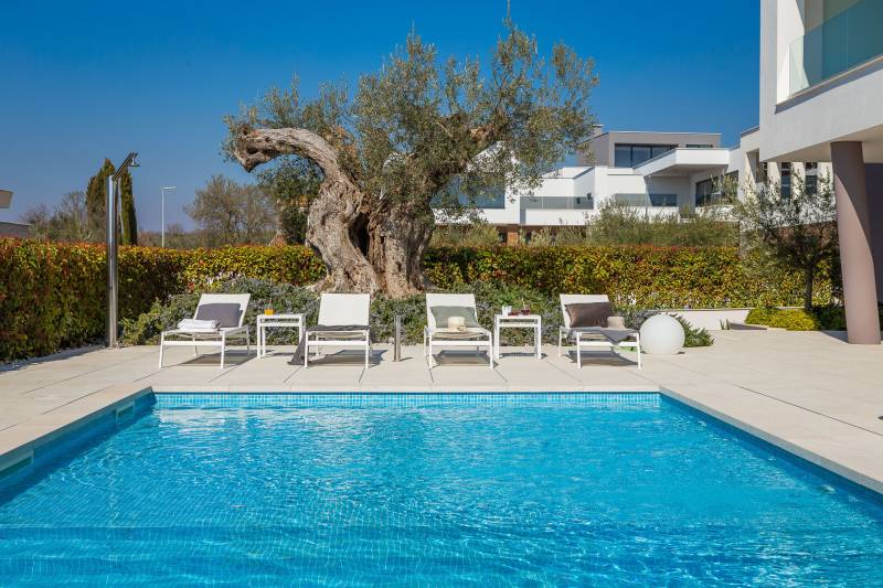 Villa Old Olive Prima med Basseng Pula