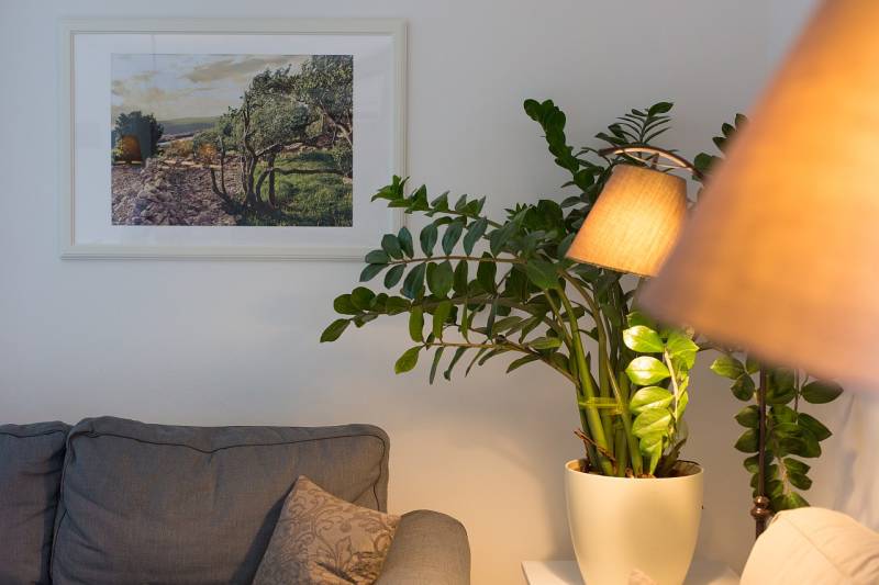 Villa Flower Escape mit Pool Krk