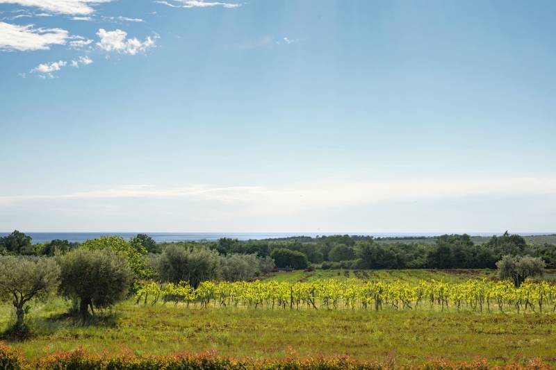 Villa Palazzo di Ivana mit Pool Novigrad Istria