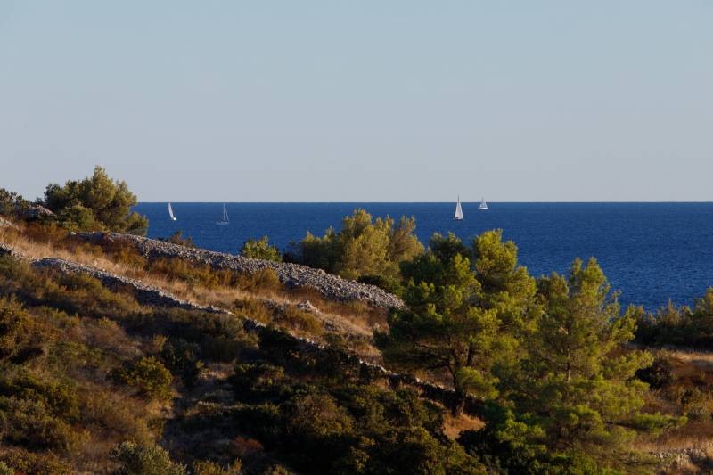 Villa Nativa with Pool Hvar