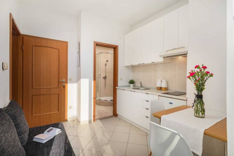 Apartment Arausa with Pool II Šibenik